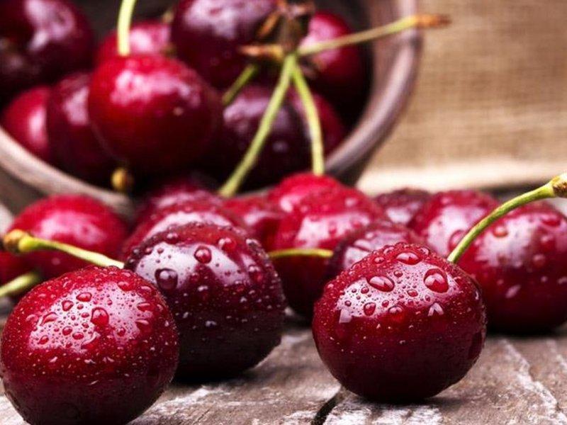 Вишня купить саженцы из питомника в Лесосибирске
